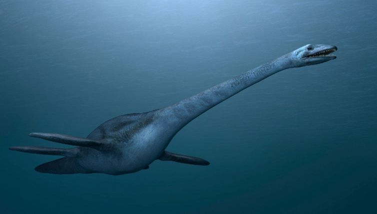 Scoperto un nuovo mostro marino, è il misterioso Traskasaura