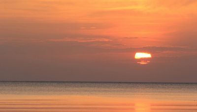 Mare sempre più scuro, c'è meno luce: le inquietanti conseguenze