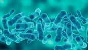 La guerra fa proliferare i batteri killer lo studio italiano