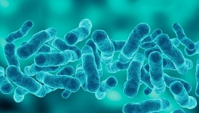La guerra fa proliferare i batteri killer lo studio italiano