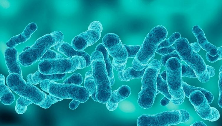 La guerra fa proliferare i batteri killer lo studio italiano
