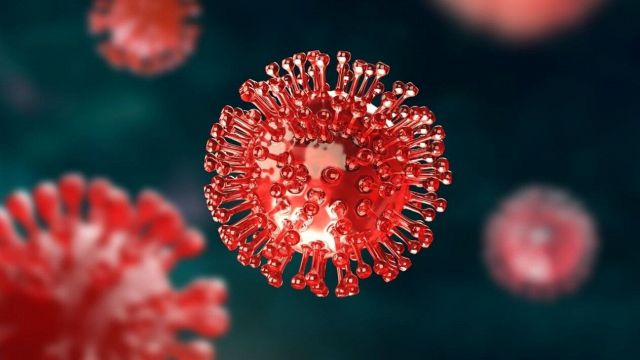 La profezia sul nuovo virus