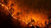 Cosa fare se avvisti un incendio in strada
