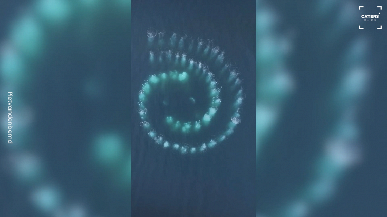 La spirale misteriosa nell'oceano: di cosa si tratta