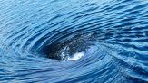 Pericolo in acqua: mulinelli al mare e al lago. Cosa sono e come mettersi in salvo