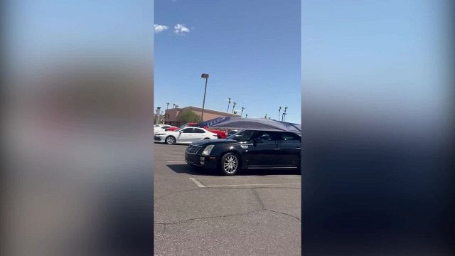 Il trend dell'estate per l'auto è virale