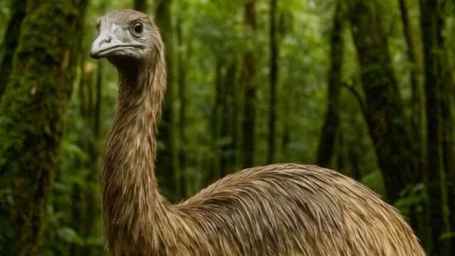 Tornano i dinosauri?