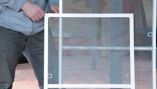 Allarme zanzare? La soluzione