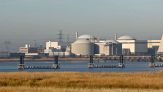 Meduse fermano l'energia nucleare, centrale in tilt
