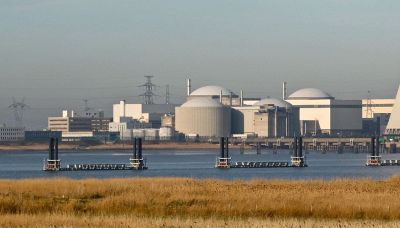 Meduse fermano l'energia nucleare, centrale in tilt