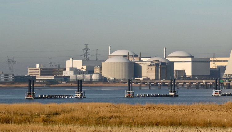 Meduse fermano l'energia nucleare, centrale in tilt