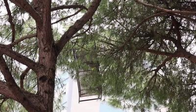 Maltempo in Romagna. Lettini volano dalla spiaggia sugli alberi