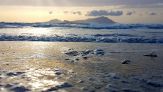 Cosa succede al lido di Bagnoli, perché il mare bolle