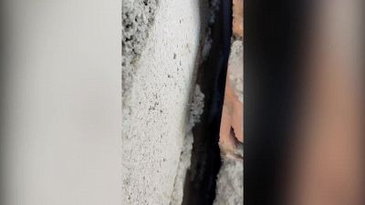 Da dietro al muro arriva un suono: la scoperta è da brividi