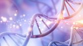 Svelato il mistero del DNA della 117enne Maria Branyas Morera