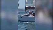 Il terribile attacco delle orche: barca speronata e affondata