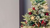 E' vero che si può mangiare l'Albero di Natale?
