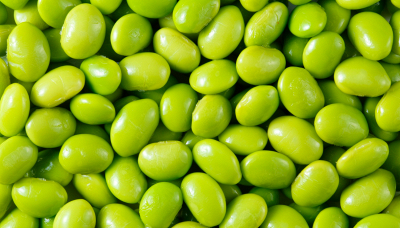 Come piantare le fave in casa: la guida completa