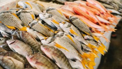 Contaminazione da mercurio: quali pesci ne hanno di più  