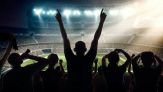 Neuroscienza del calcio: scoperta l’area del cervello dei tifosi