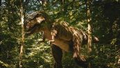 I T.rex non sono stati gli unici predatori del loro tempo