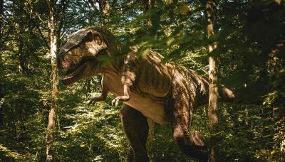 I T.rex non sono stati gli unici predatori del loro tempo