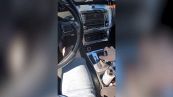 Il gesto dell'automobilista è semplicemente folle