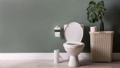 Bagni pubblici: perché non dovresti accovacciarti sul wc