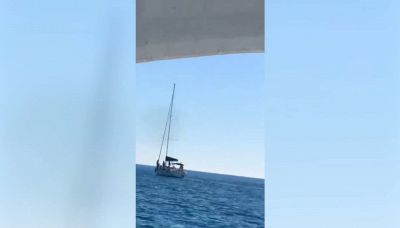 Ostia: lo spettacolo dei delfini che giocano con le barche a vela
