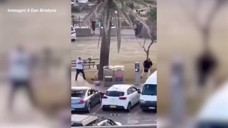 Il fruttivendolo-eroe disarma uno degli attentatori di Sydney