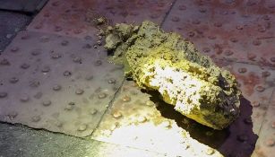 Scoperto 'mostro' delle fogne