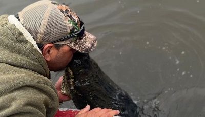 Il folle gesto: 'bacio della morte' con un alligatore