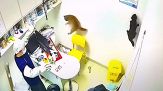 Caos dal veterinario, i gatti seminano il panico: il video virale