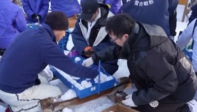 Strategie e palle di neve, lo yukigassen è il 'nuovo curling' delle Olimpiadi