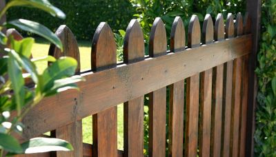 Hai un giardino? Dovresti fare un buco nella recinzione