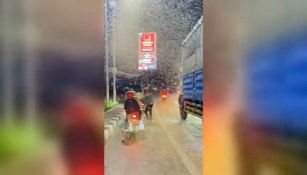 Panico in strada: all'improvviso un'invasione mostruosa