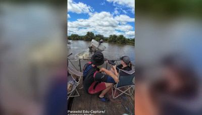 Mamma ippopotamo è furibonda e rovescia la barca