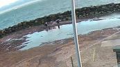 Paura in spiaggia: mamma e figlia affondano nelle sabbie mobili