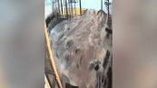L'alluvione è devastante: palestra inondata