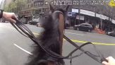 Inseguimento a cavallo tra le strade di New York: il video è virale