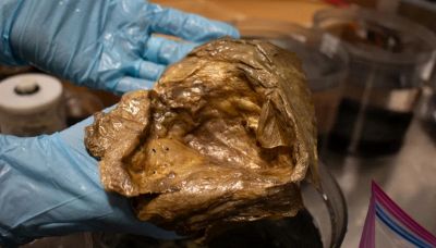 Sfera dorata scoperta nel mare dell'Alaska, svelato il mistero