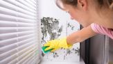Muffa nera in casa: come prevenirla e eliminarla in modo naturale