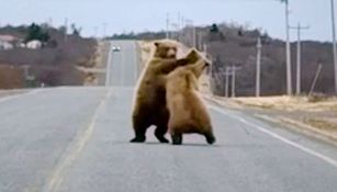 Chi blocca il traffico?