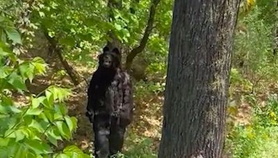 L'incredibile truffa dell'orso allo zoo: scoppia la polemica
