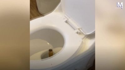 Non usate questo water: il pericolo è mortale