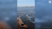 Paura in acqua: squalo attacca kayak