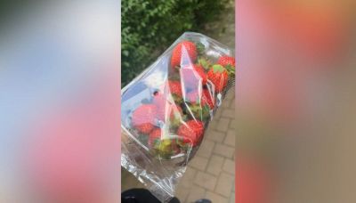 Compra una vaschetta di fragole: quello che ci trova è da non credere