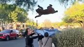 Orso su albero, polizia fa un salvataggio impossibile: il video