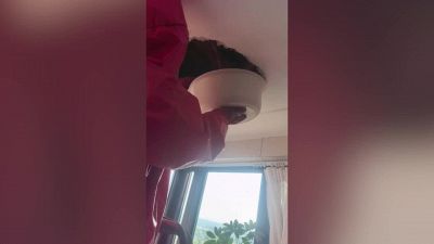Rumori dal soffitto: la sorpresa lascia a bocca aperta