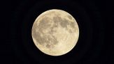 Luna piena del Cervo 2026: come e quando vedere lo spettacolo in cielo